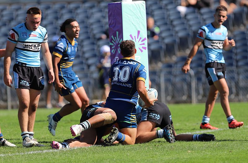 HMC Elimination Final EELS vs SHARKS