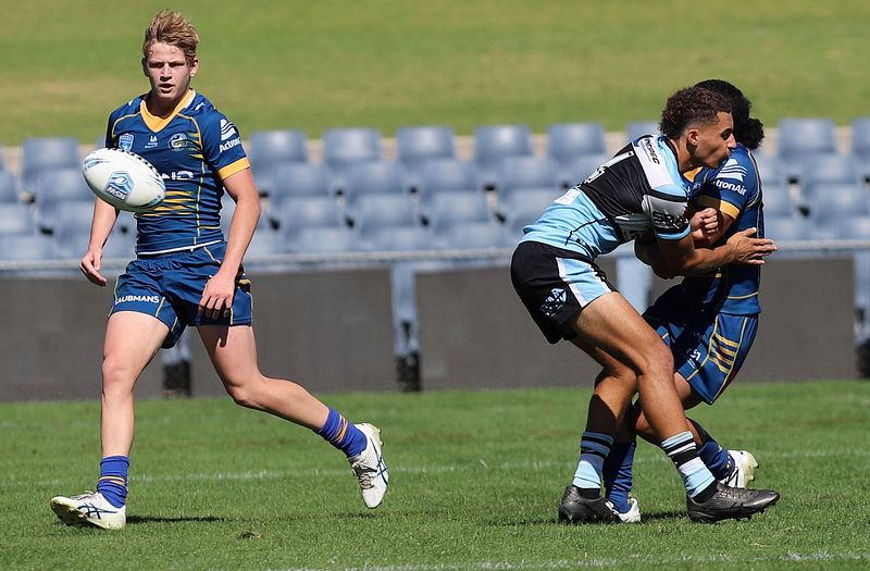 HMC Elimination Final EELS vs SHARKS