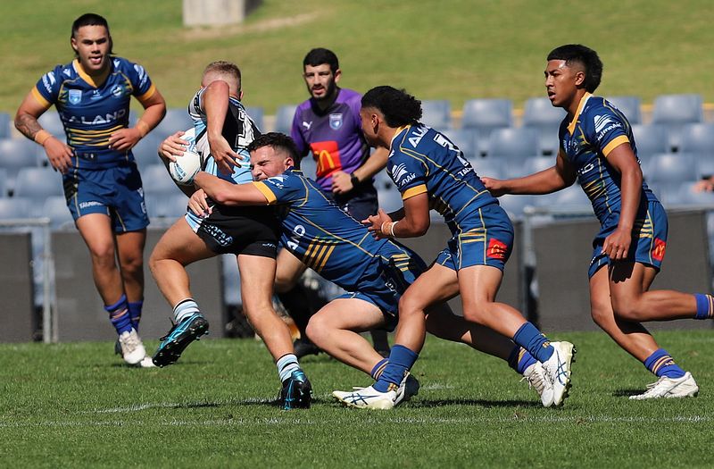 HMC Elimination Final EELS vs SHARKS