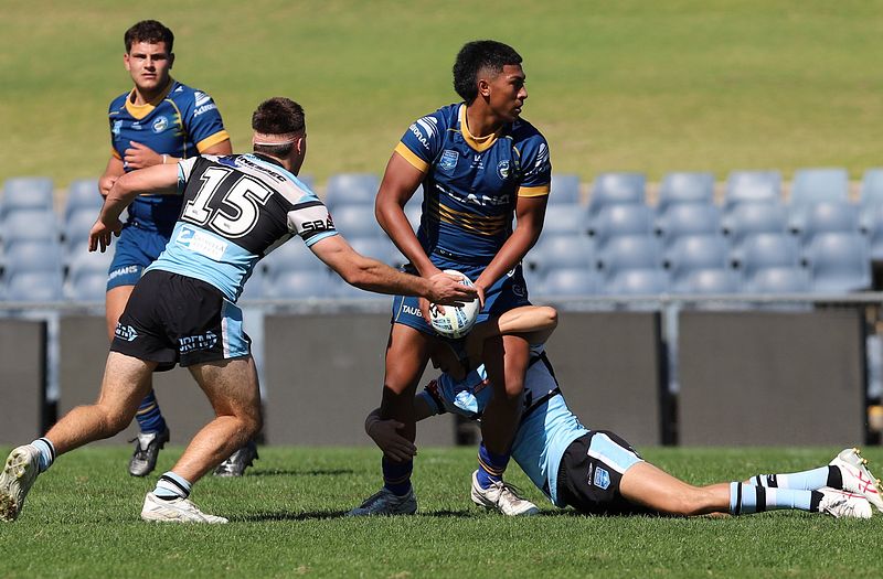 HMC Elimination Final EELS vs SHARKS