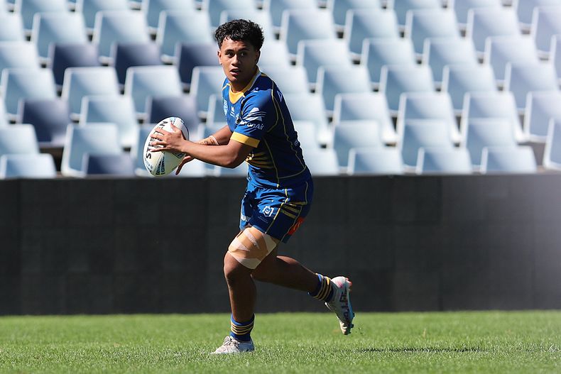 HMC Elimination Final EELS vs SHARKS