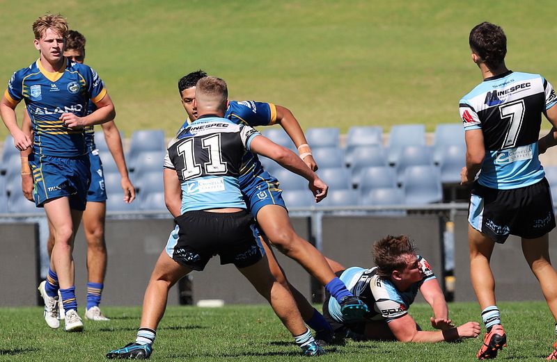 HMC Elimination Final EELS vs SHARKS