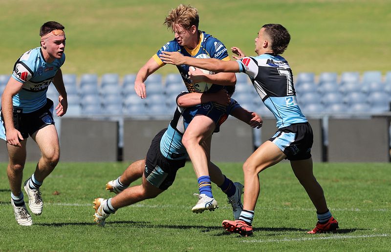HMC Elimination Final EELS vs SHARKS