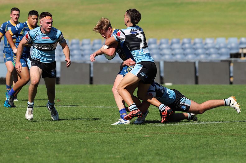 HMC Elimination Final EELS vs SHARKS