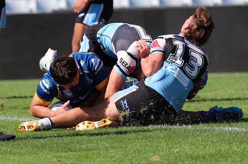 HMC Elimination Final EELS vs SHARKS