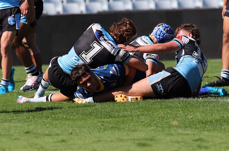 HMC Elimination Final EELS vs SHARKS