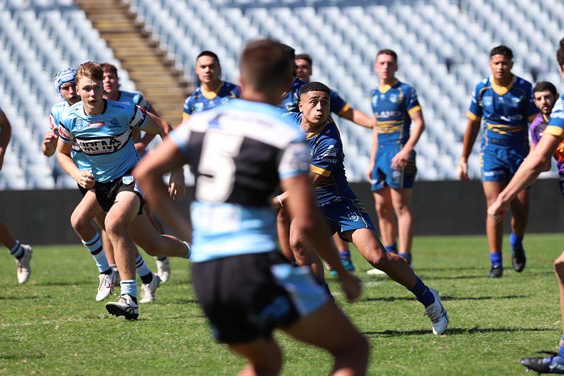HMC Elimination Final EELS vs SHARKS