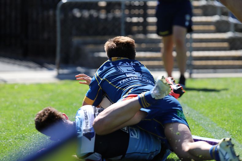 HMC Elimination Final EELS vs SHARKS