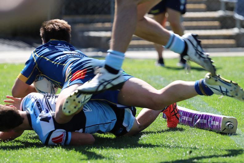 HMC Elimination Final EELS vs SHARKS