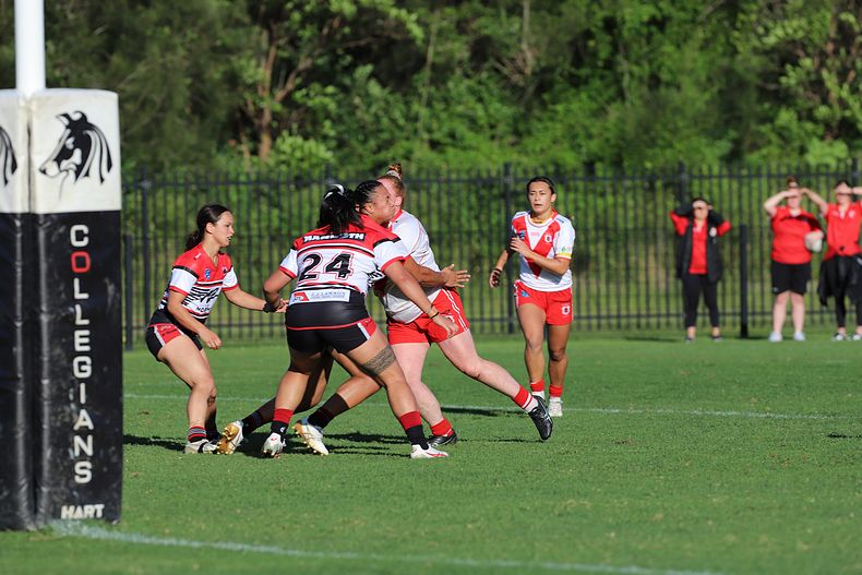 HNWP Rnd 10 DRAGONS vs BEARS