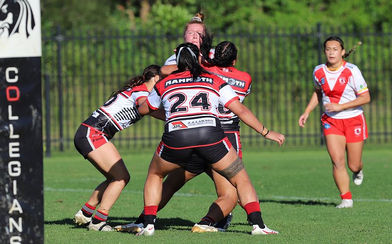 HNWP Rnd 10 DRAGONS vs BEARS
