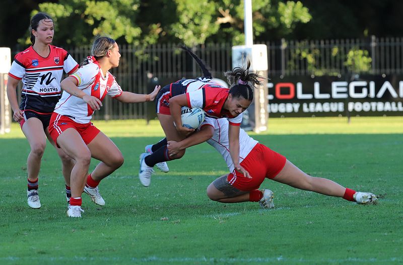 HNWP Rnd 10 DRAGONS vs BEARS