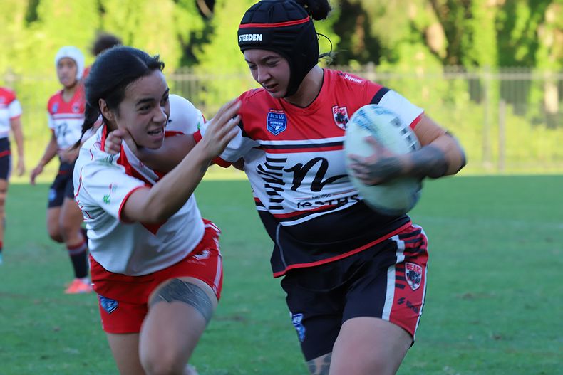 HNWP Rnd 10 DRAGONS vs BEARS