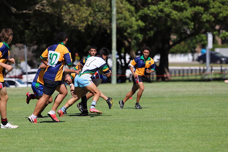 NSWCHS Sydney East OPENS trial