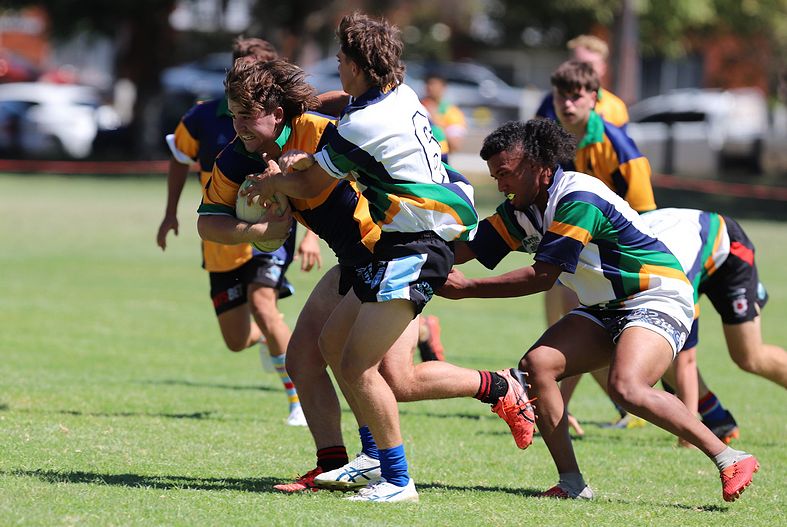 NSWCHS Sydney East OPENS trial