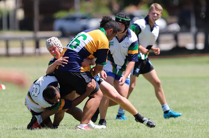 NSWCHS Sydney East OPENS trial