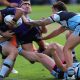 Jersey Flegg Cup Rnd 16 Draw,Results, Ladder & Top Point Scorers (Photo : Steve Montgomery)