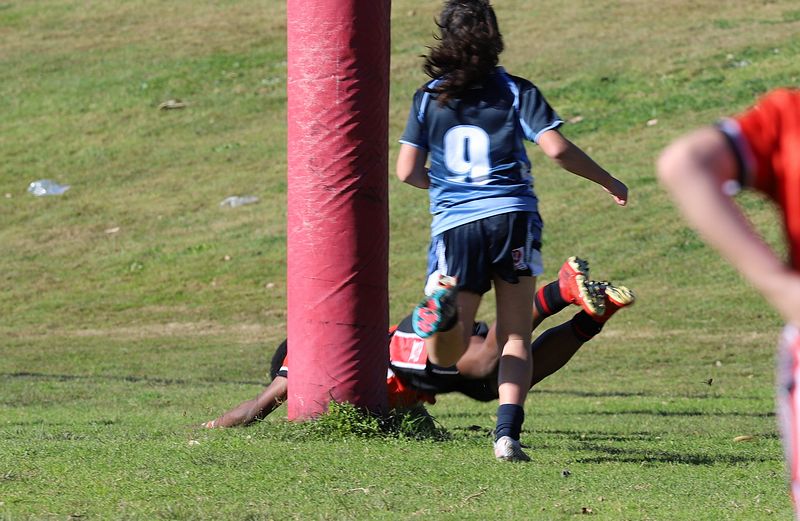 Buettner Shield ENDEAVOUR vs ILLAWARRA