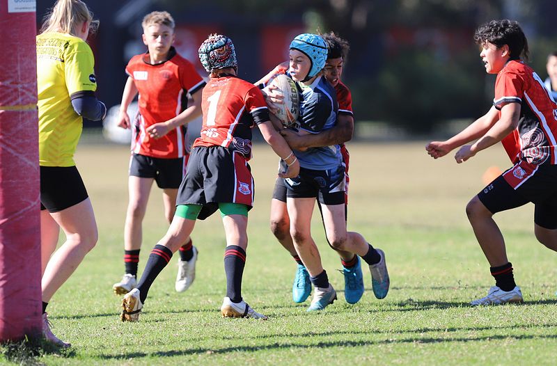 Buettner Shield ENDEAVOUR vs ILLAWARRA
