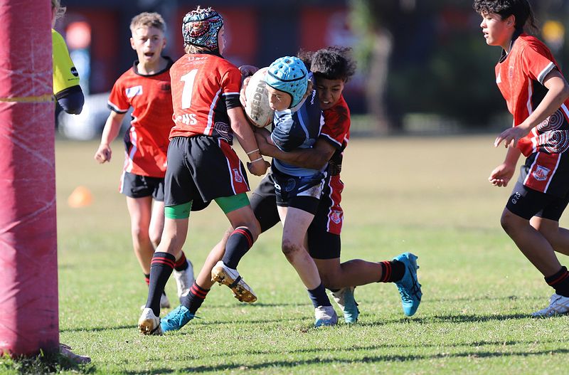Buettner Shield ENDEAVOUR vs ILLAWARRA