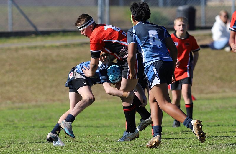 Buettner Shield ENDEAVOUR vs ILLAWARRA