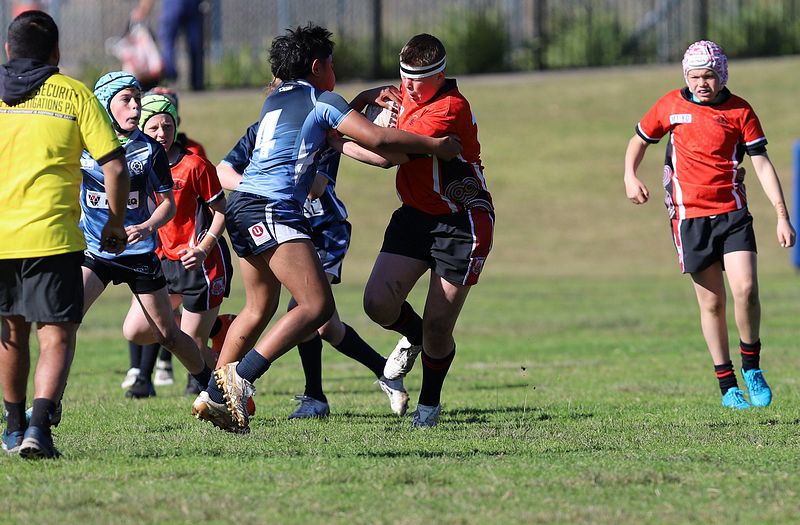 Buettner Shield ENDEAVOUR vs ILLAWARRA