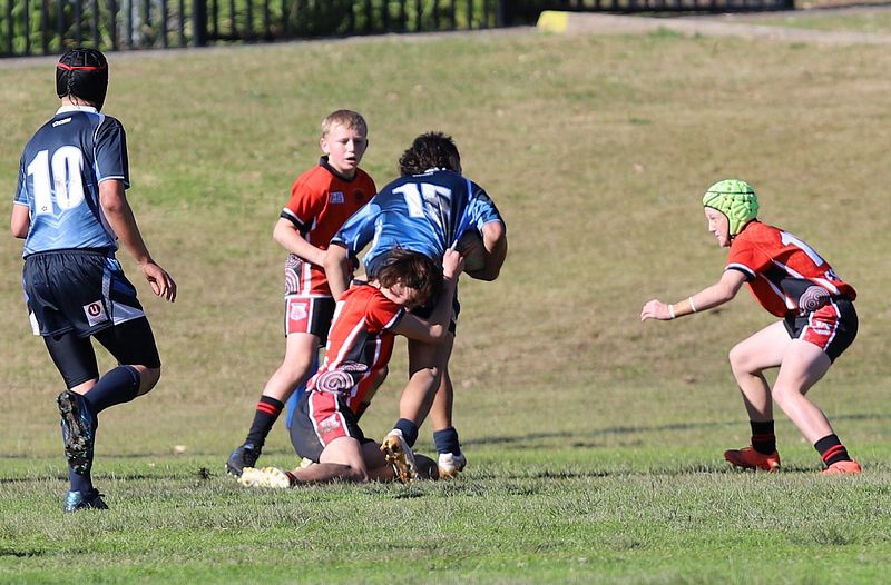 Buettner Shield ENDEAVOUR vs ILLAWARRA