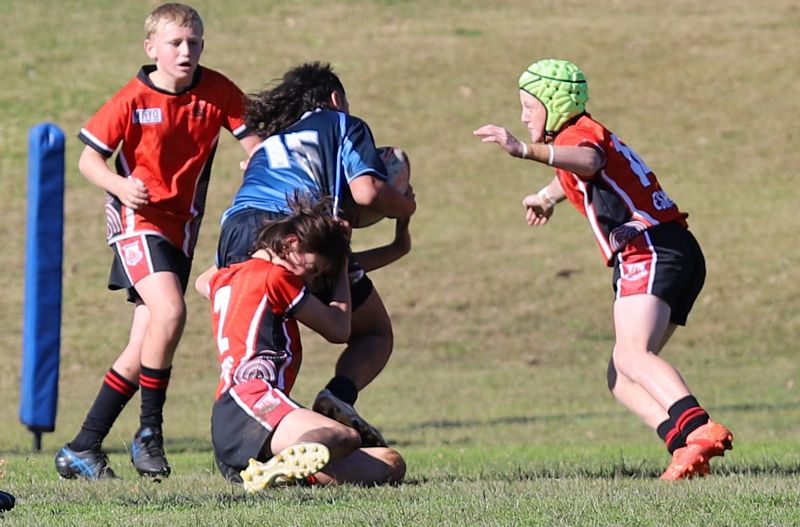 Buettner Shield ENDEAVOUR vs ILLAWARRA