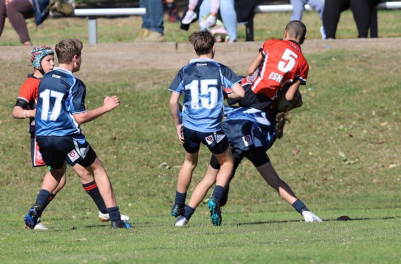 Buettner Shield ENDEAVOUR vs ILLAWARRA