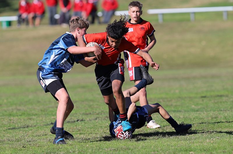 Buettner Shield ENDEAVOUR vs ILLAWARRA