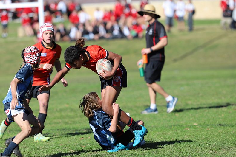 Buettner Shield ENDEAVOUR vs ILLAWARRA