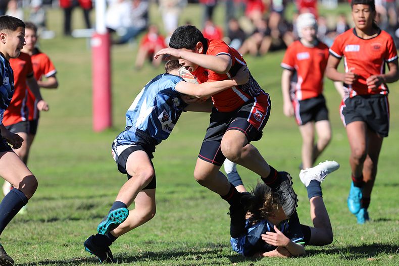 Buettner Shield ENDEAVOUR vs ILLAWARRA