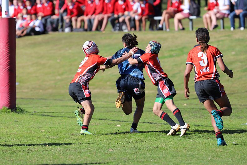 Buettner Shield ENDEAVOUR vs ILLAWARRA