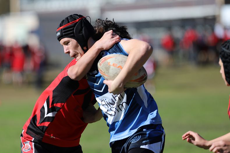 Buckley Shield ENDEAVOUR v ILLAWARRA
