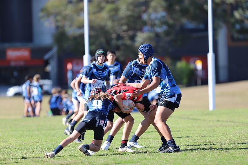 Buckley Shield ENDEAVOUR v ILLAWARRA
