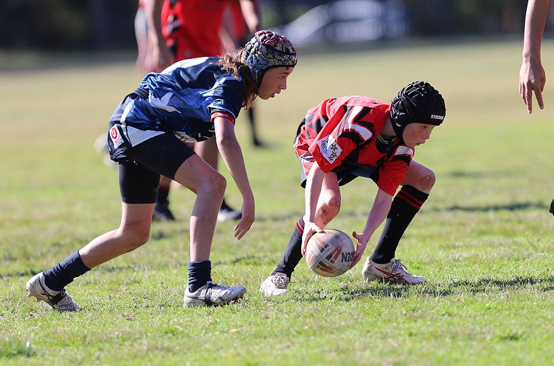 Buckley Shield ENDEAVOUR v ILLAWARRA