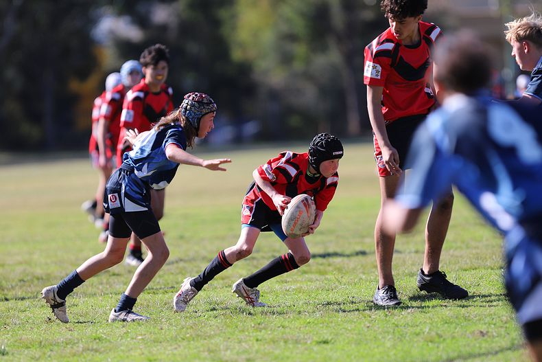Buckley Shield ENDEAVOUR v ILLAWARRA