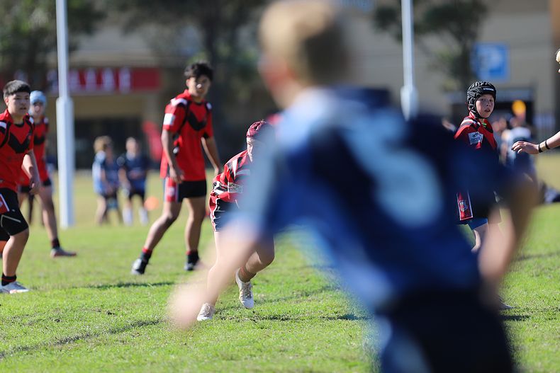 Buckley Shield ENDEAVOUR v ILLAWARRA