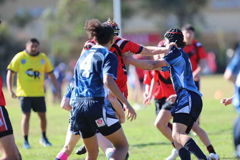 Buckley Shield ENDEAVOUR v ILLAWARRA
