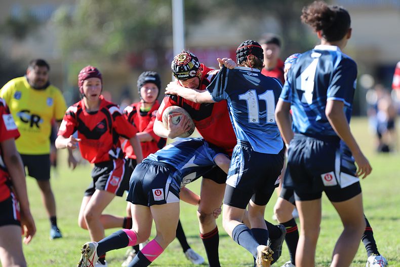 Buckley Shield ENDEAVOUR v ILLAWARRA