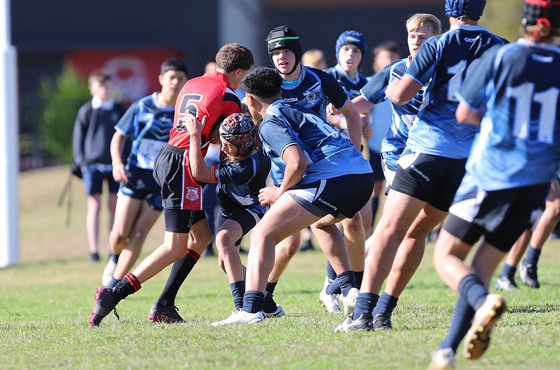 Buckley Shield ENDEAVOUR v ILLAWARRA
