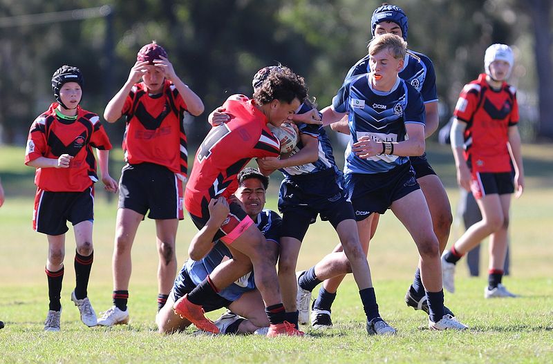 Buckley Shield ENDEAVOUR v ILLAWARRA