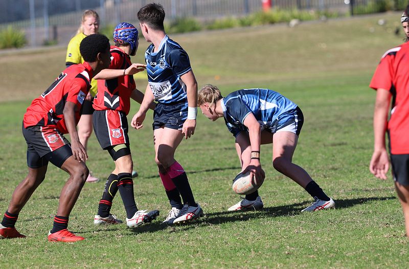 Buckley Shield ENDEAVOUR v ILLAWARRA