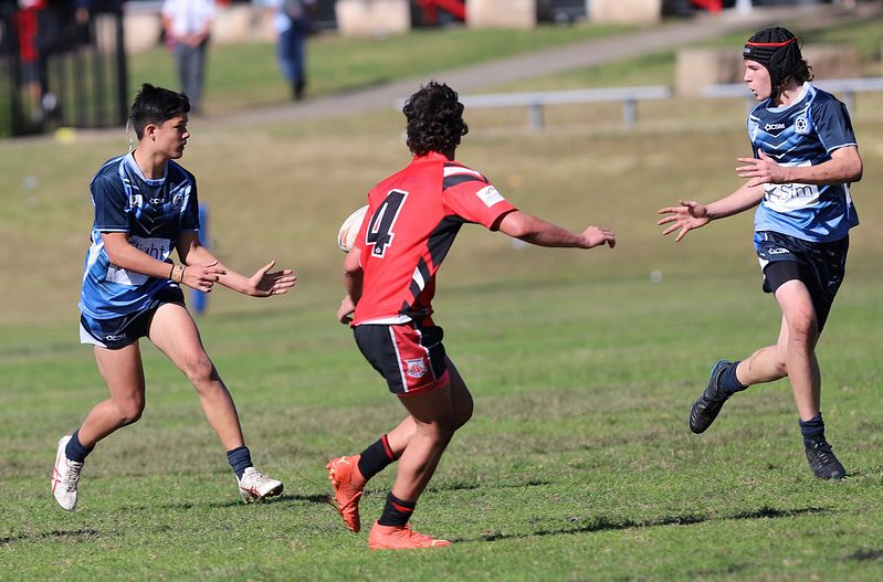 Buckley Shield ENDEAVOUR v ILLAWARRA