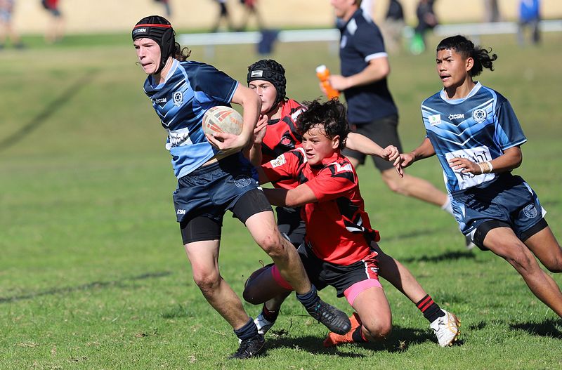 Buckley Shield ENDEAVOUR v ILLAWARRA