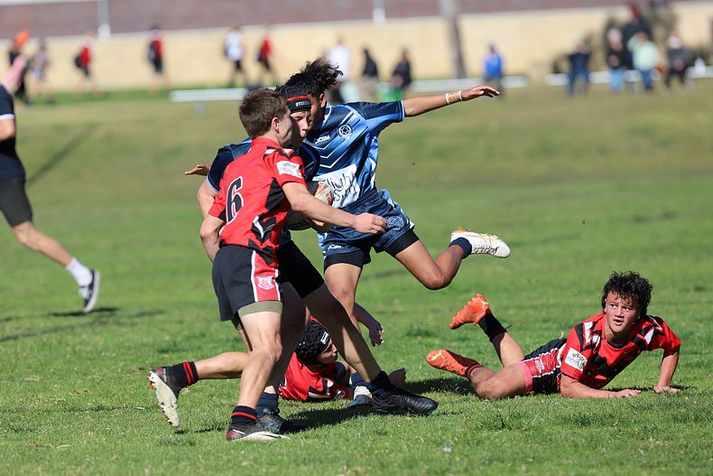 Buckley Shield ENDEAVOUR v ILLAWARRA