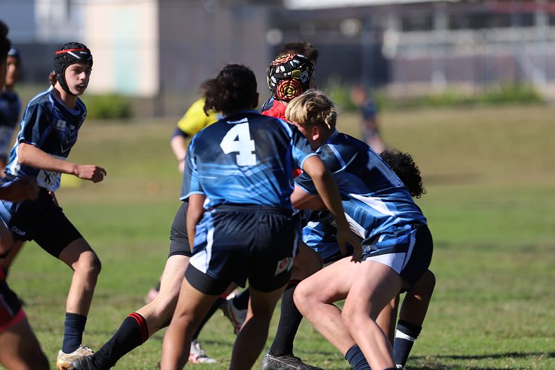 Buckley Shield ENDEAVOUR v ILLAWARRA