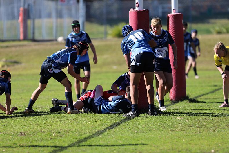 Buckley Shield ENDEAVOUR v ILLAWARRA