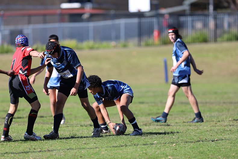 Buckley Shield ENDEAVOUR v ILLAWARRA