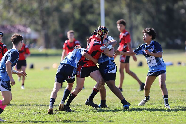 Buckley Shield ENDEAVOUR v ILLAWARRA